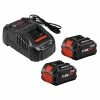 Bosch GXS18V-13N24 CORE18V 8.0 Ah Performance Batteries & Charger Starter Kit